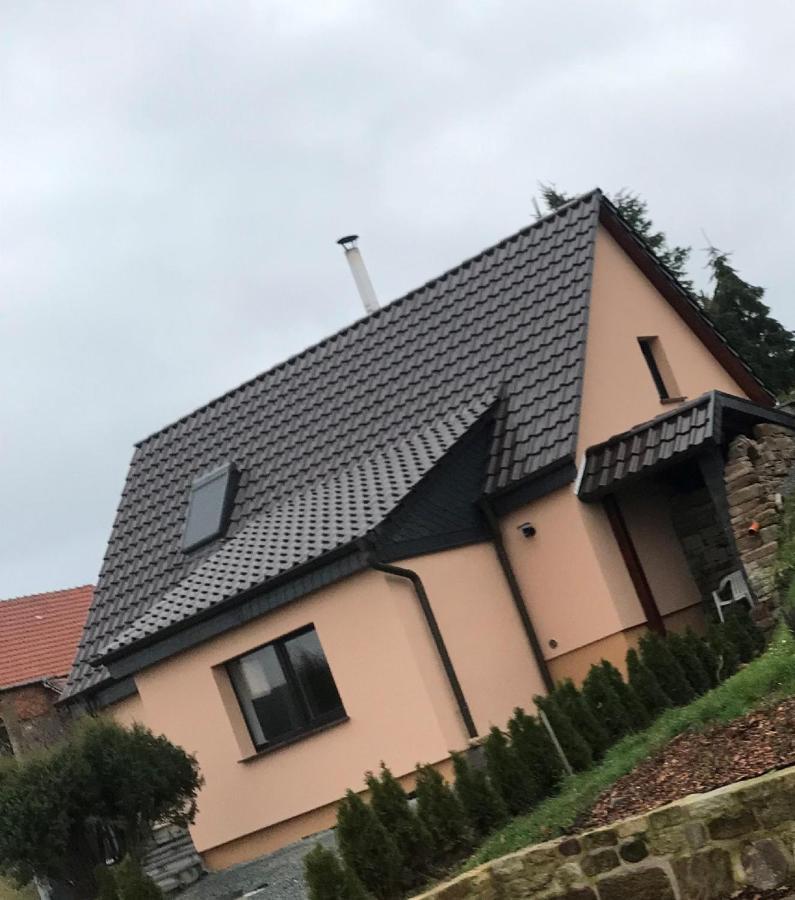 Ferienhaus Unstrutblick Kaiserpfalz Экстерьер фото